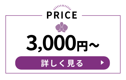 3000円～の胡蝶蘭
